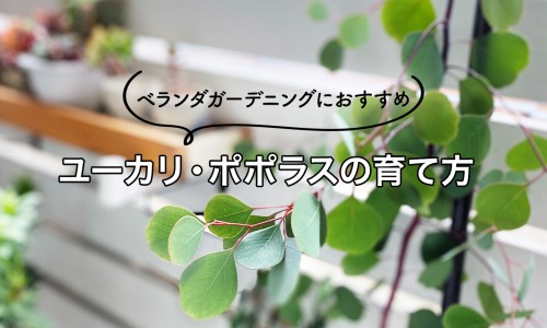 补肾益气胶囊能壮阳吗-权威补肾益气胶囊多少一盒平台,分享专业补肾益气胶囊主治什么病知识_补肾益脑胶囊的说明书网