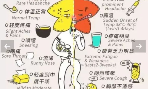 补肾益气胶囊能壮阳吗-权威补肾益气胶囊多少一盒平台,分享专业补肾益气胶囊主治什么病知识_补肾益脑胶囊的说明书网